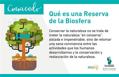 Guía para organizar una visita a la Reserva de la Biosfera de。